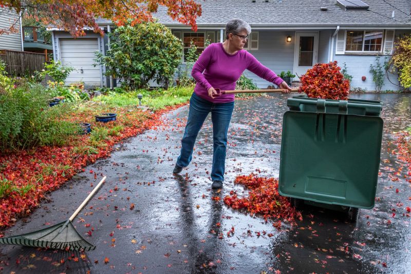 Fallen Leaves and Lawn Health