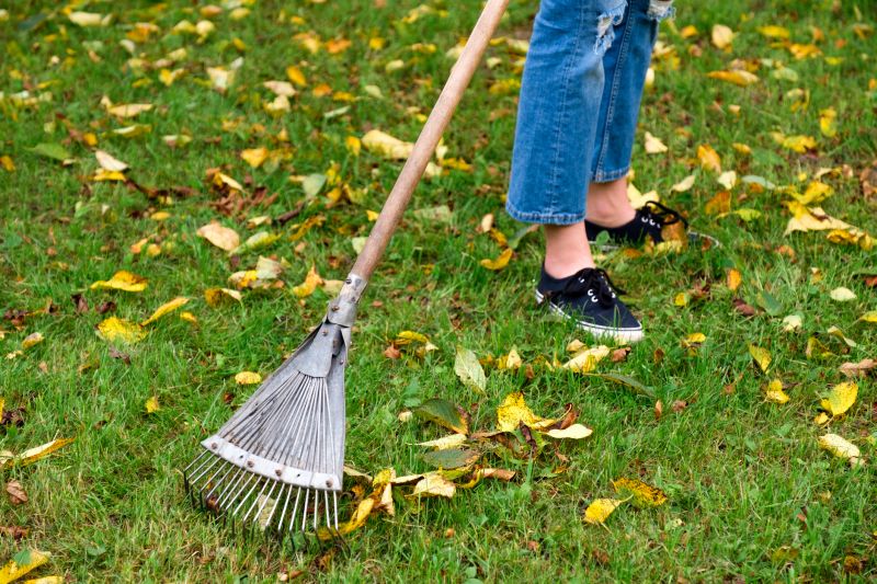 Lawn Cleanup Tools