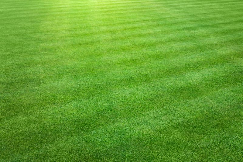 Lawn After Professional Cutting