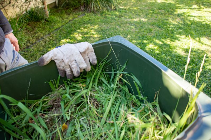 Lawn Clippings Collection