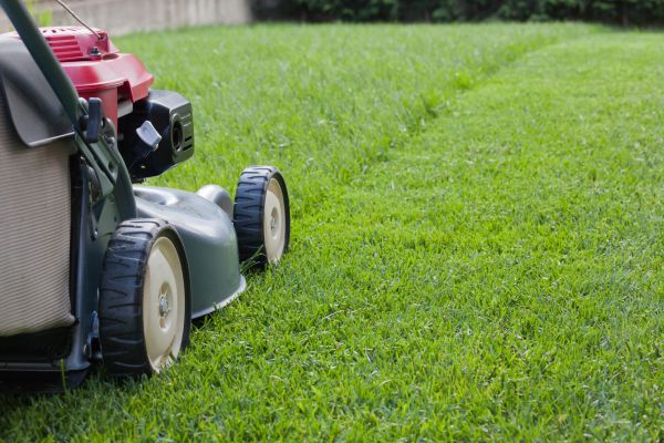 Commercial Lawn Care