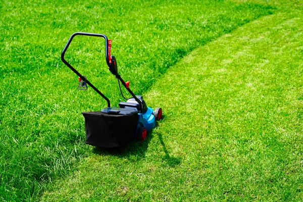 Recurring Lawn Cutting - Recurring Lawn Cutting Naperville, Illinois